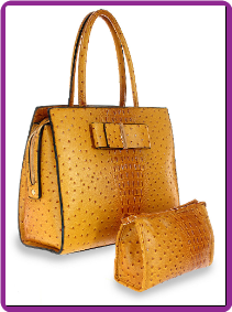 Bow Design Tote Handbag Set